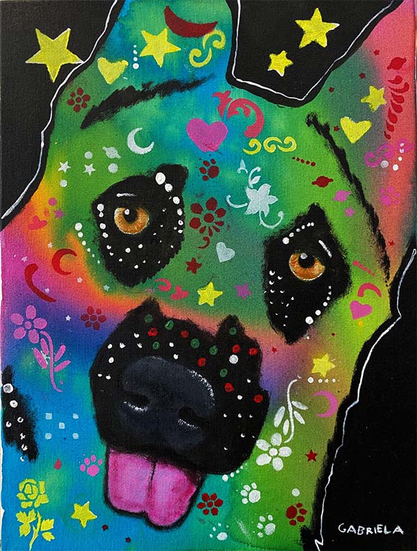 Amigo Pet - 30 x 40 - Ast 